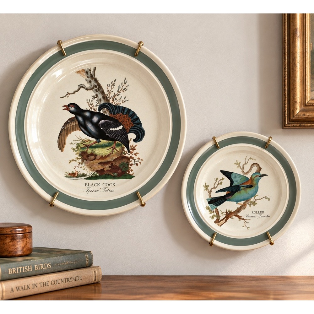 Portmeirion Birds of Britain Plates Set of 2 E. Donovan 1794 Collectible FLAW